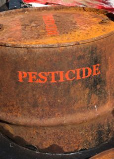 Rusted Barrel Labeled Pesticide