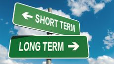 Two road signs pointing in opposite directions reading "short term" and "long term" up against a blue sky 