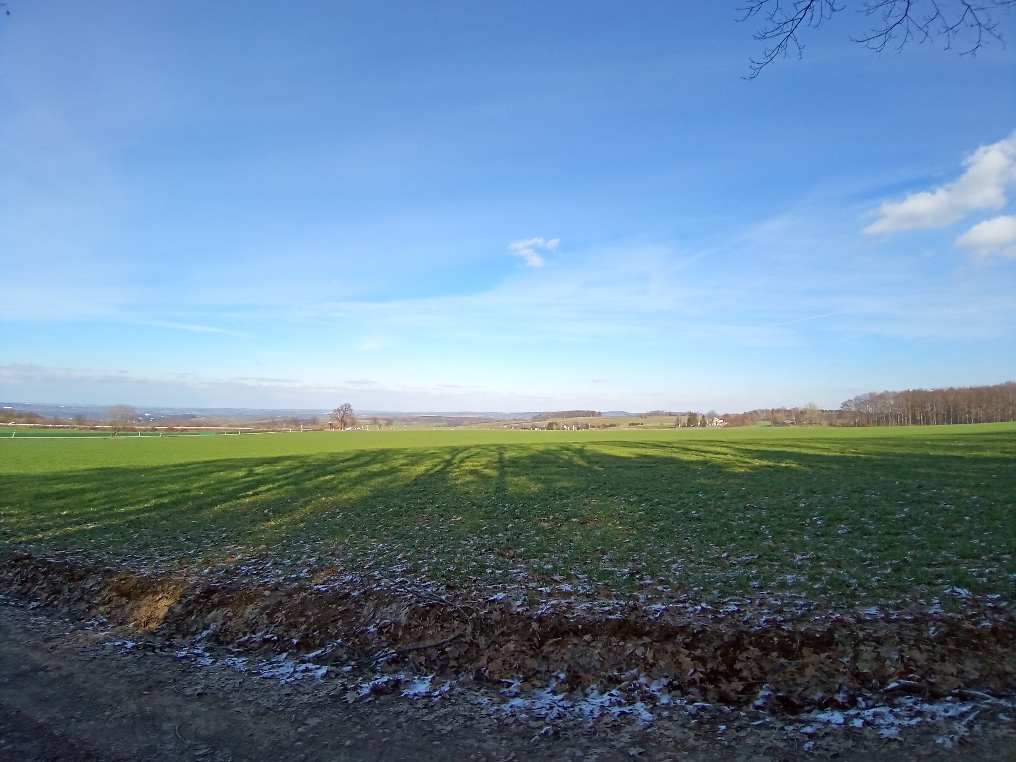 Landschaft aufgenommen mit Wiko View 5