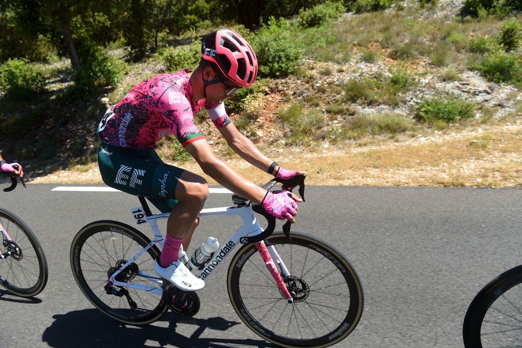 MONT VENTOUX FRANCE JUNE 14 Ruben Guerreiro of Portugal and Team EF Education Easypost competes during the 4th Mont Ventoux Denivele Challenge 2022 a 153km one day race from VaisonlaRomaine to Mont Ventoux 1893m MVDC on June 14 2022 in Mont Ventoux France Photo by Dario BelingheriGetty Images