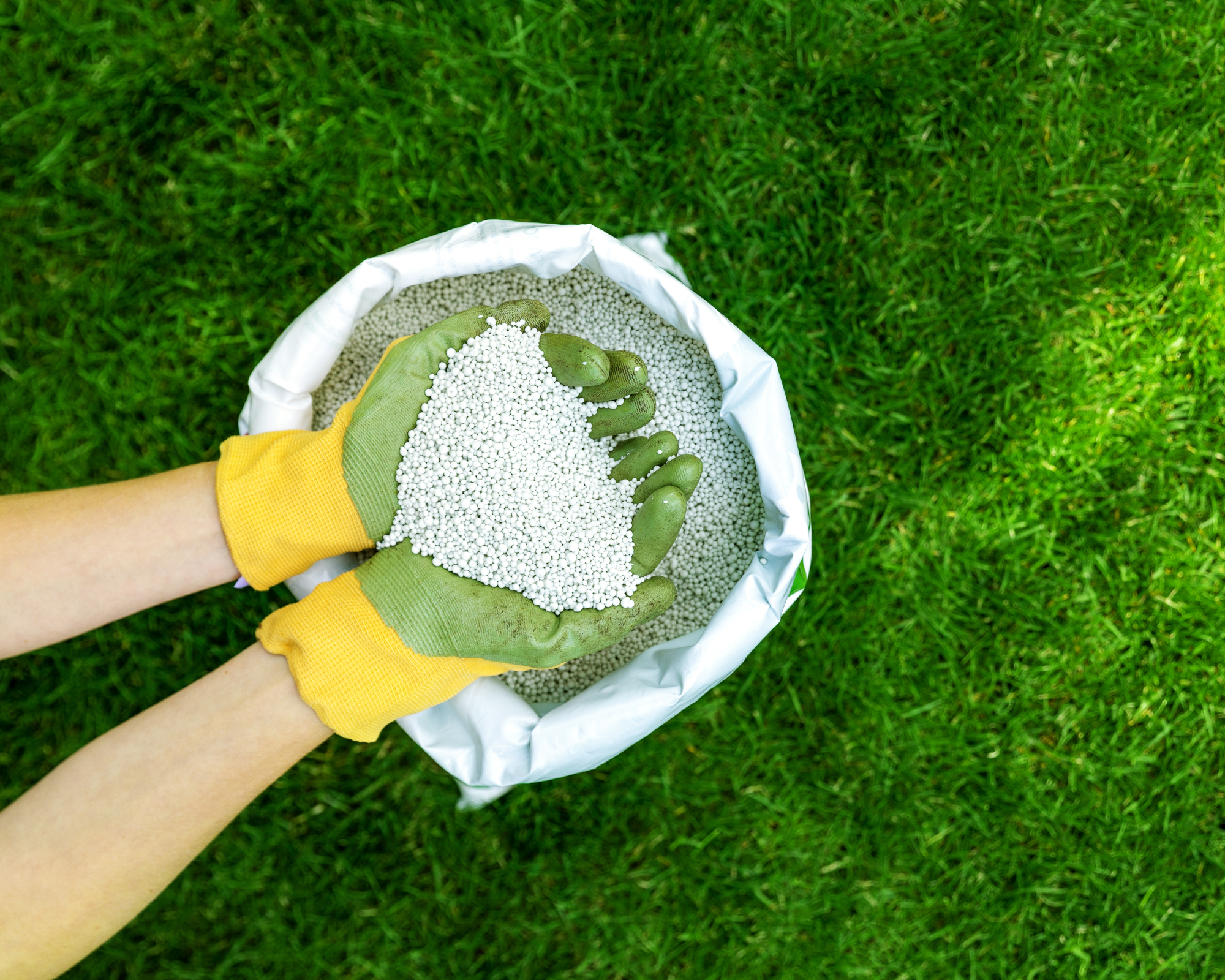 lawn fertilizer for strong grass root and shoot growth