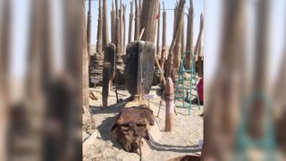 The ancient burials at the Xiaohe cemetery were often marked with upright poles. This boat-shaped coffin was covered in a cattle hide and marked with an upright structure that seems to represent an oar.