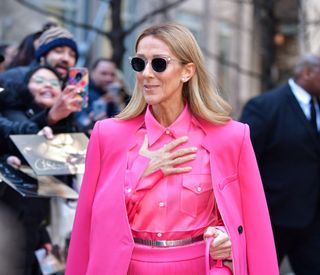 Celine Dion's sister revealed that they hadn't found anything "that works" against the rare neurological disorder