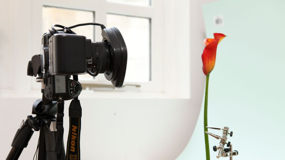 How to build a home photography studio