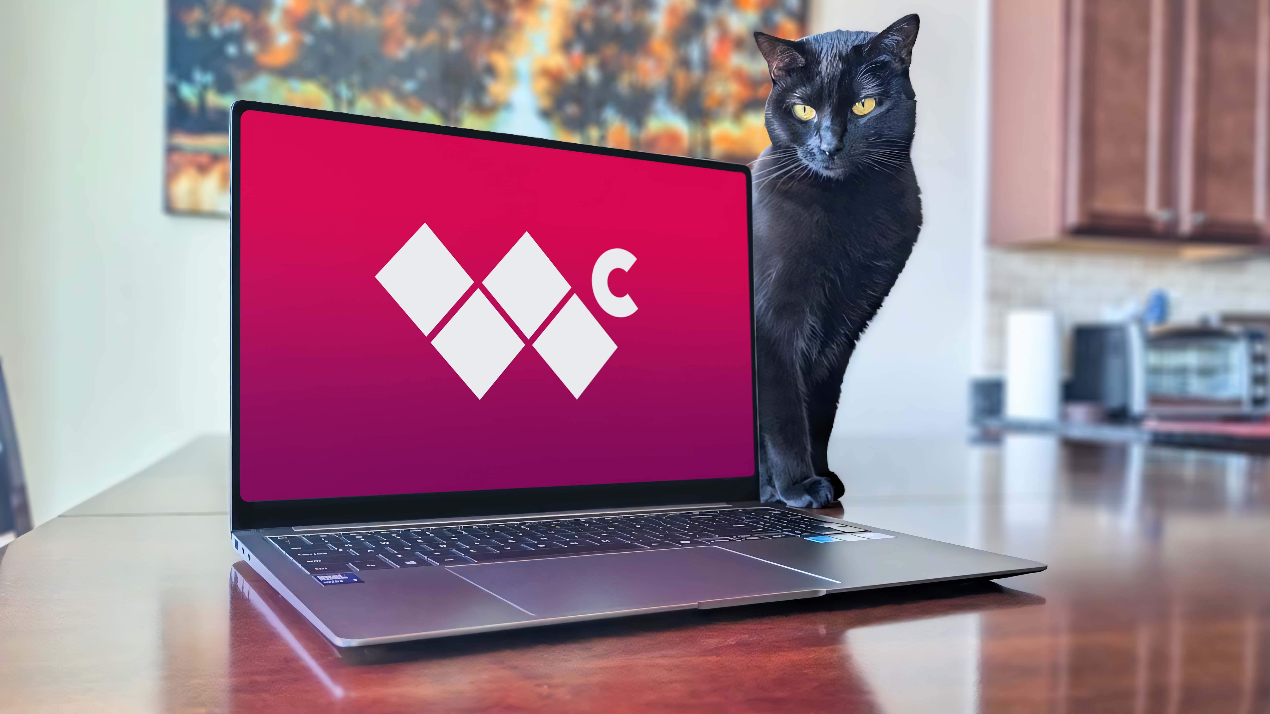 A Samsung Galaxy Book5 Pro displaying a background with the Windows Central logo. A black cat stands next to the laptop.