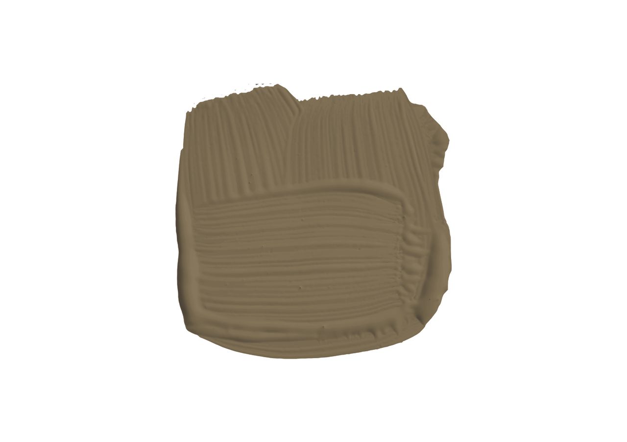 Paint swatch of an olive green paint color