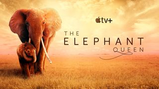 Reklameplakat for The Elephant Queen.