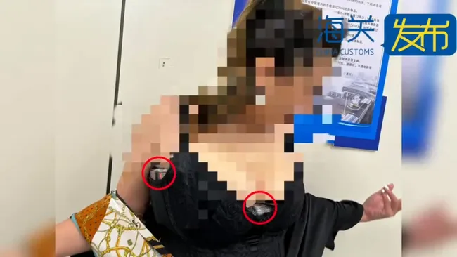 Detenida mujer que llevaba en su sujetador 350 videojuegos de Nintendo