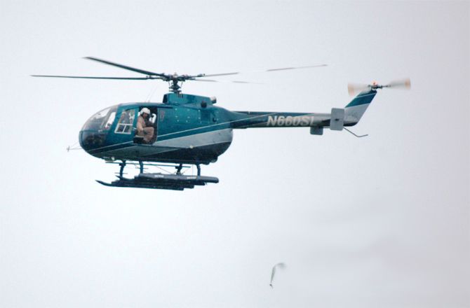 helicopter drops mice bait in Guam to fight invasive brown tree snake