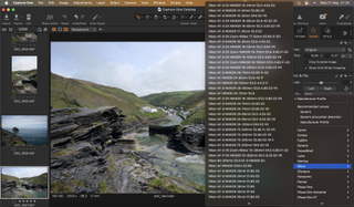 A screenshot from photo editing software Capture One Pro