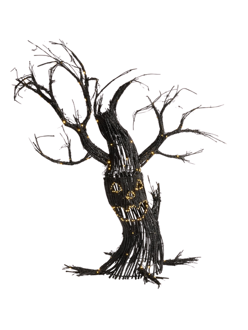Lit Jack O'lantern Willow Tree