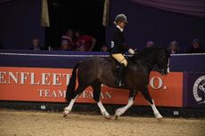 GLYNWYN_THE_LIVING_DAYLIGHTS_MM_HOYS_PN17_102702.jpg.jpg