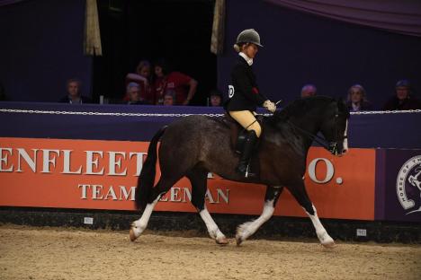 GLYNWYN_THE_LIVING_DAYLIGHTS_MM_HOYS_PN17_102702.jpg.jpg