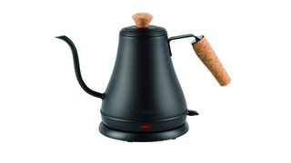 electric gooseneck kettle