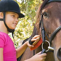Grooming and riding experience for young beginners – £40 Grooming and riding experience for young beginners – £40