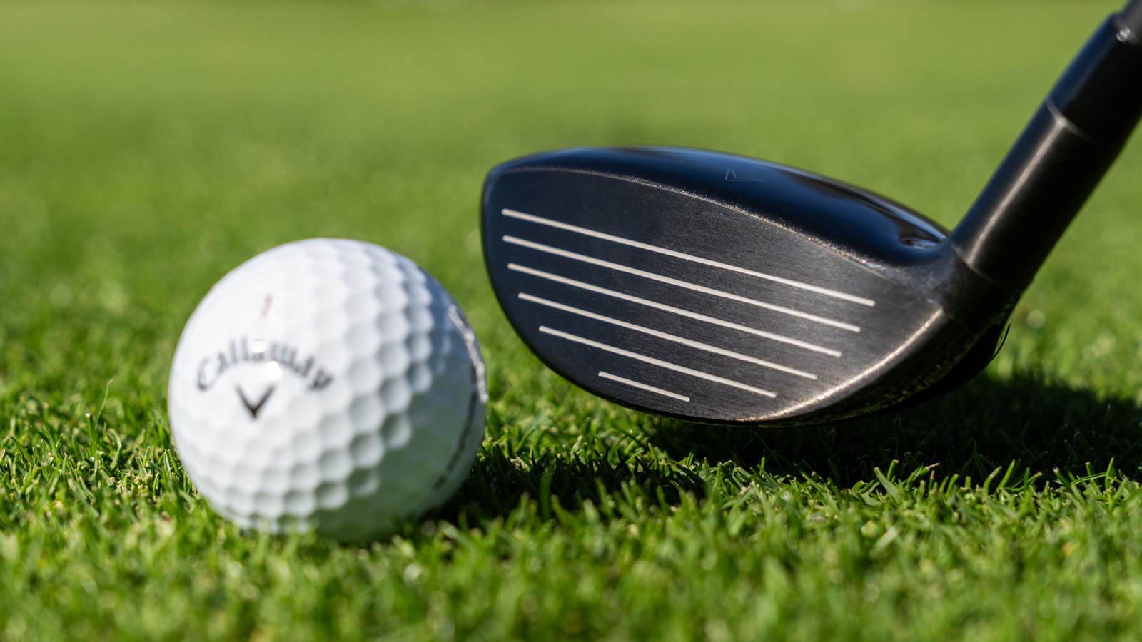 Callaway Quantum Mini Spinner