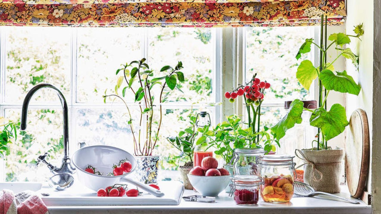 A kitchen sink surrounded by potted fruit and vegetable plants