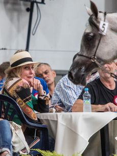 Founder of Halsdon Arabians, Shirley Watts, pictured, has died aged 84