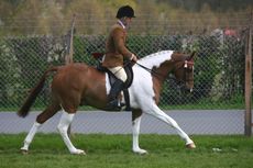 1D2N9664-1.jpg