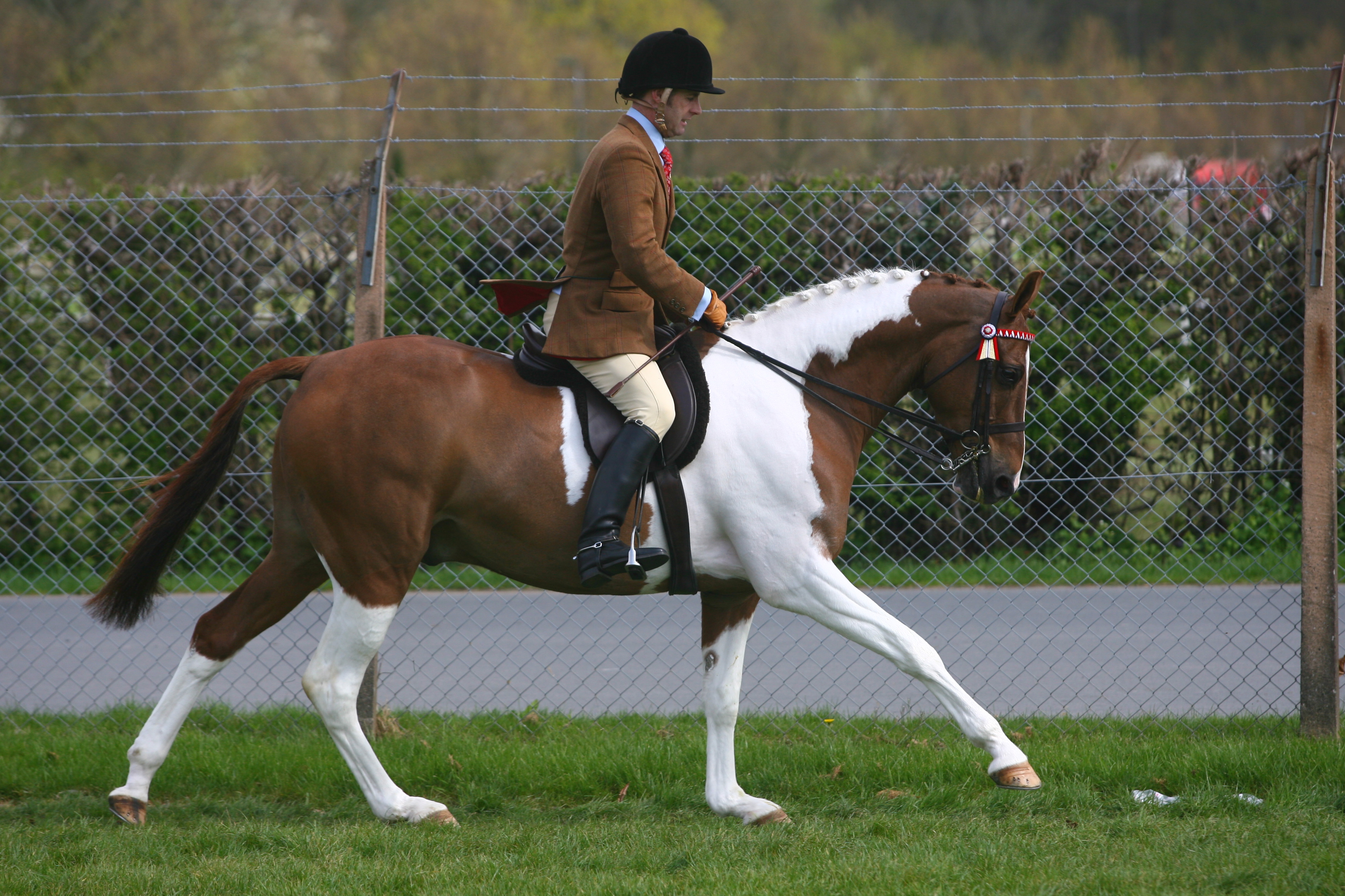 1D2N9664-1.jpg