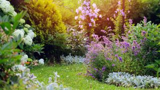 summer garden