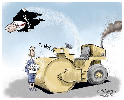 Political Cartoon U.S. NPR Mary Kelly Mike Pompeo interview