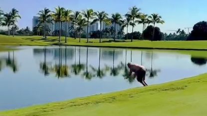 John Daly dives into a lake at Trump National Doral