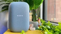 best smart home speakers: Google Nest Audio