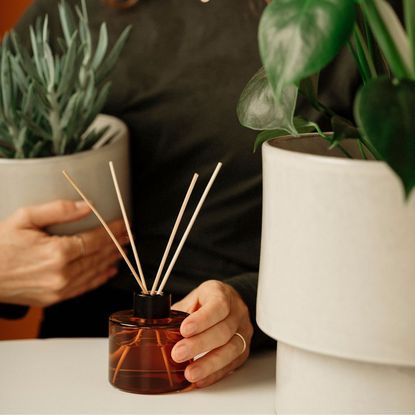 best essential oils for stress