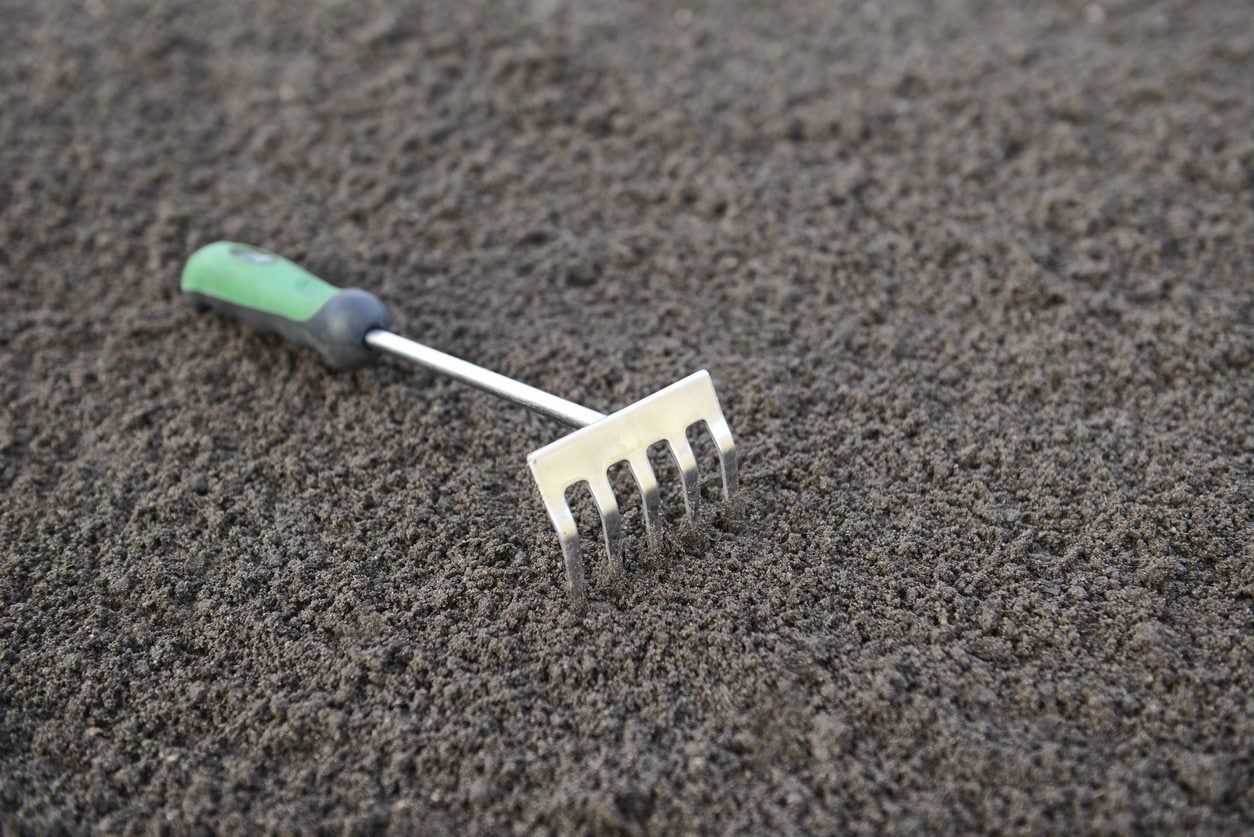 Hand Rake On Soil