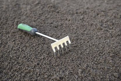 Hand Rake On Soil