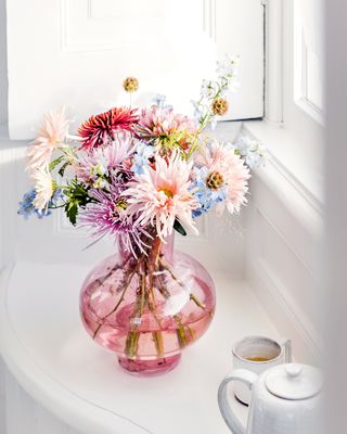 chrysanthemum in a vase