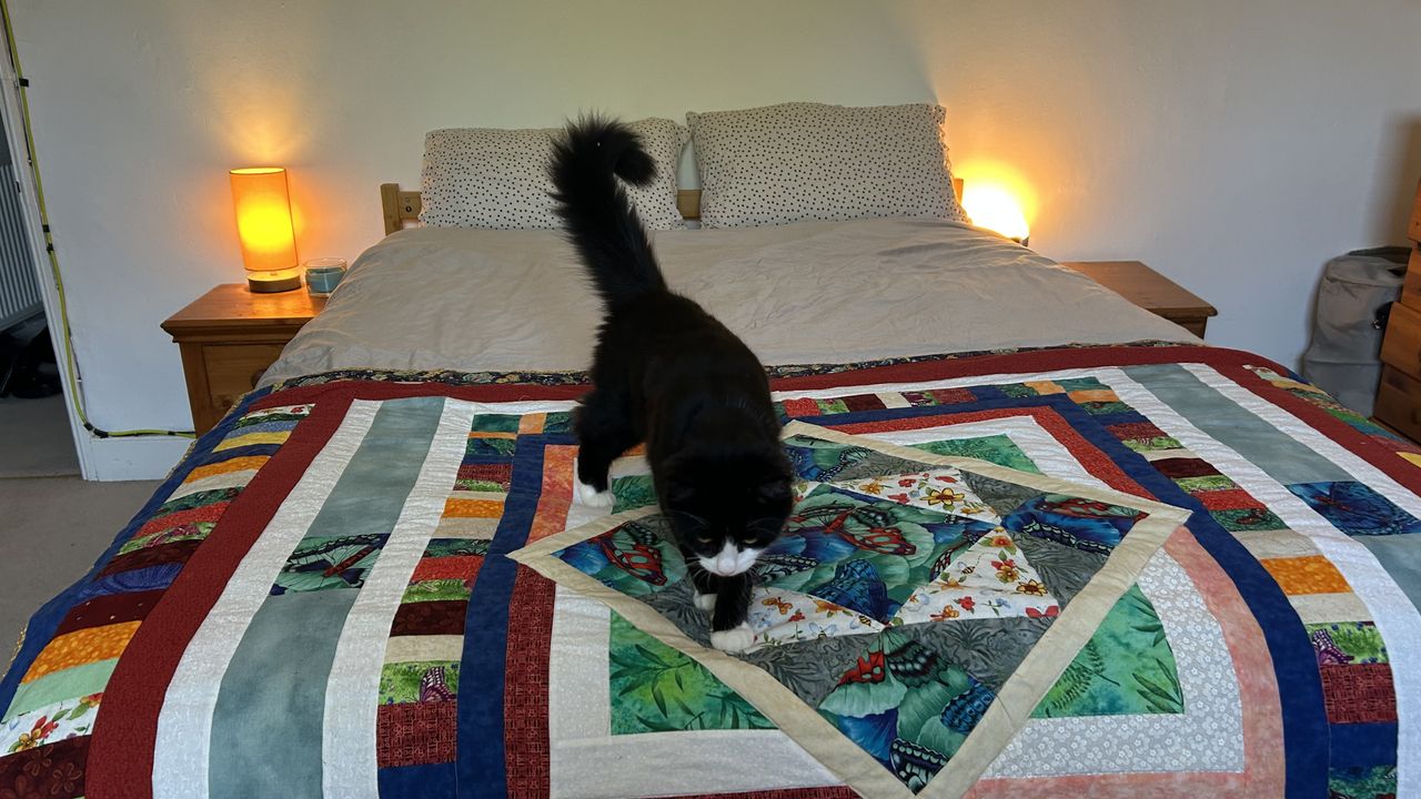 The DreamCloud Luxe Memory Foam mattress dressed in grey bedding with a colorful throw. A cat is playing on the mattress
