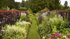 Monty Don’s grass cutting advice, pristine lawn in country garden