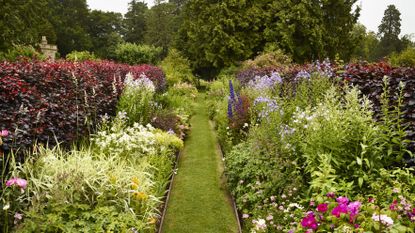 Monty Don’s grass cutting advice, pristine lawn in country garden