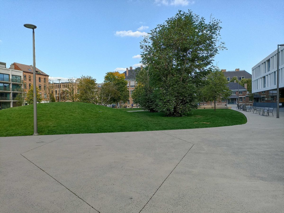 Poco M5s camera sample