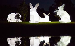 Large white nylon rabbits by Australian artist Amanda Parer on a green lawn in front of a river at night with their reflections visible in the water.
