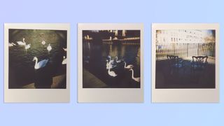 Photos taken with a Lomography Diana Instant Square instant camera