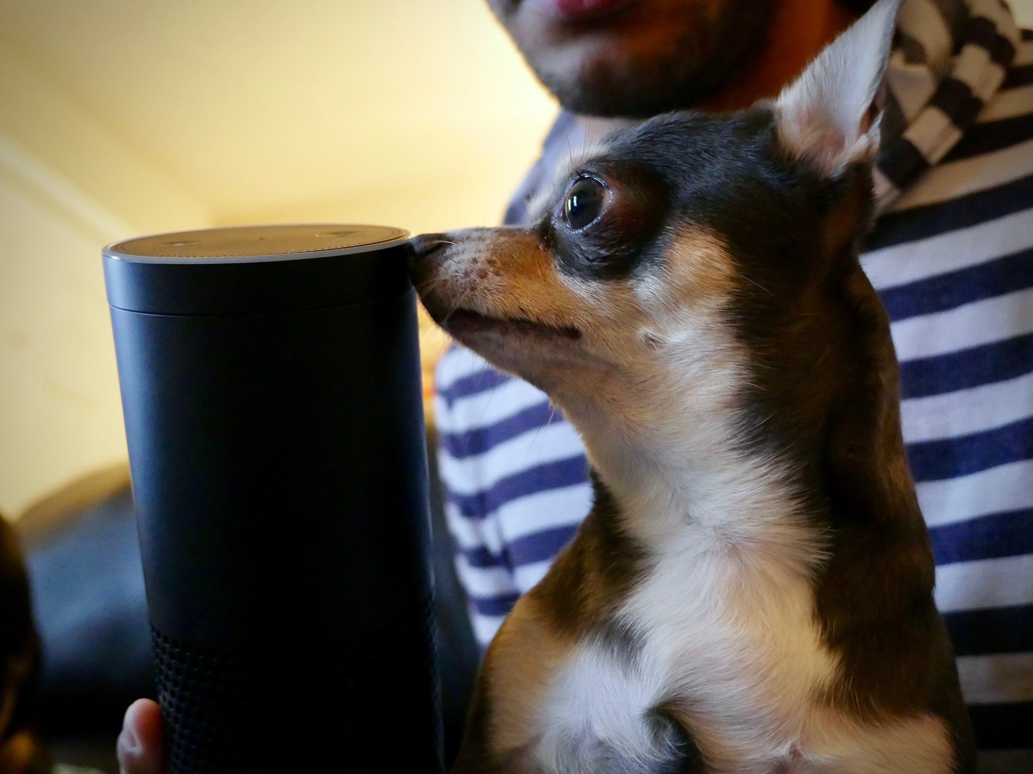 With Amazon Petlexa, Alexa becomes dog's best friend | iMore