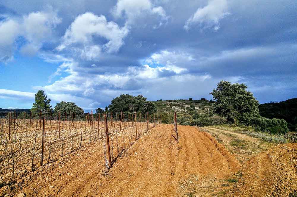 Gr&eacute;s de Montpellier
