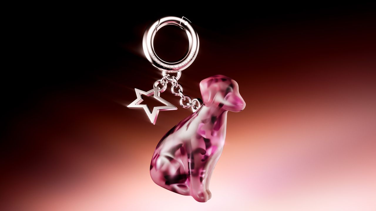 The Meta Lisa Glasses, and its cat and dog charms