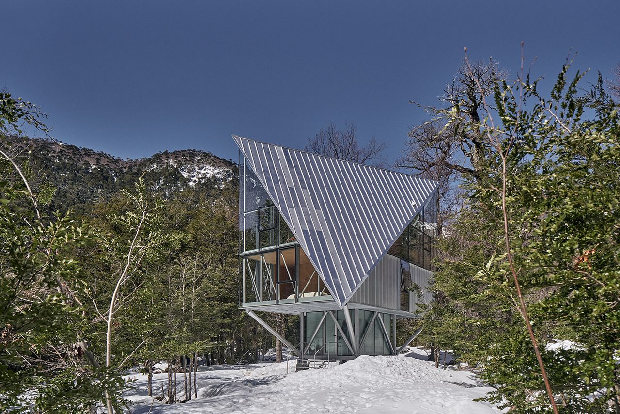 House in the trees exterior