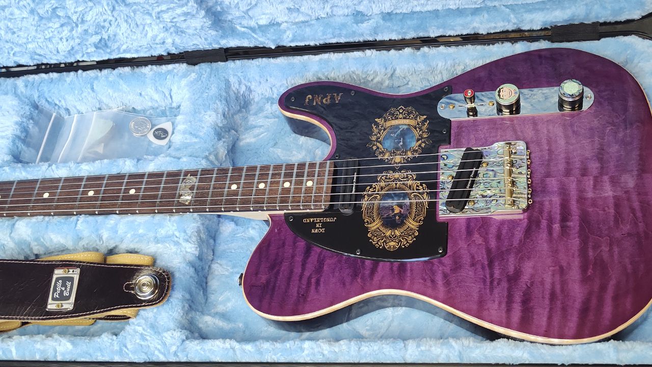 Close up detail shots of Dave Petillo's guitar for Hank Azaria