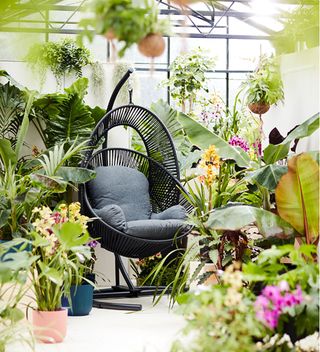 Black hanging egg chair surrounded by plants in conservatory