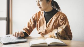 A woman holds a dog while she researches on a laptop