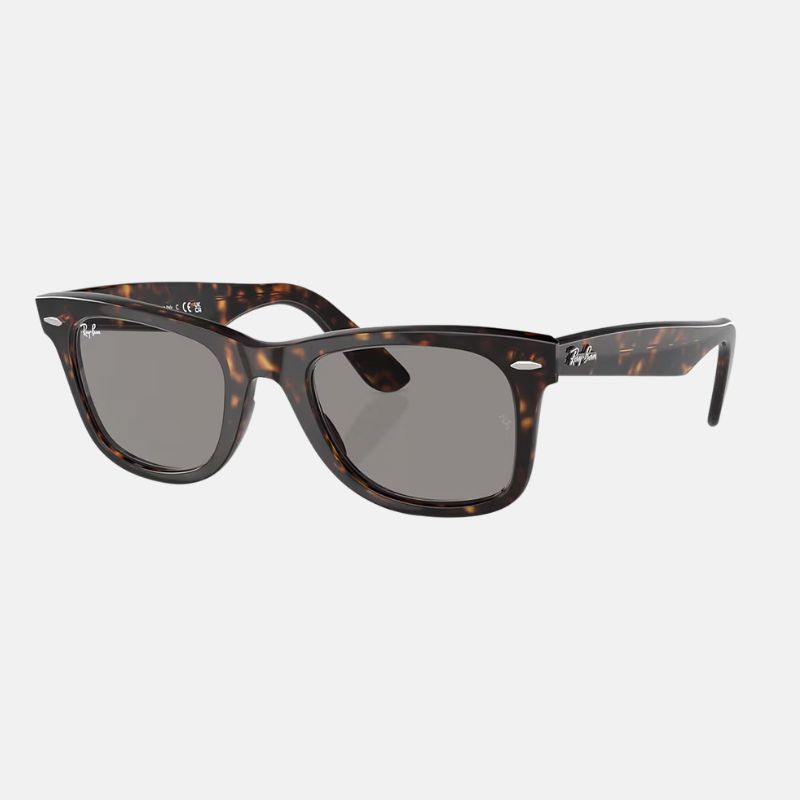 ORIGINAL WAYFARER CLASSIC cut out