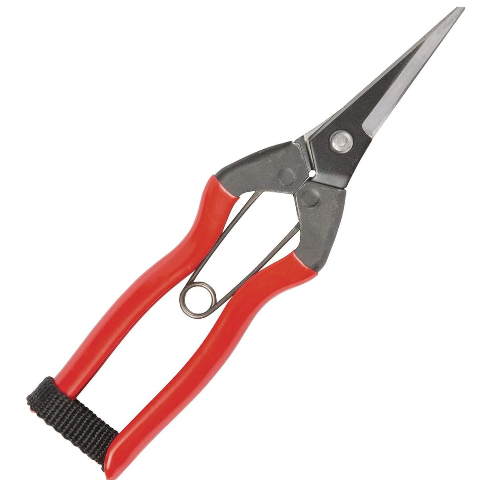 Niwaki garden snips Amazon