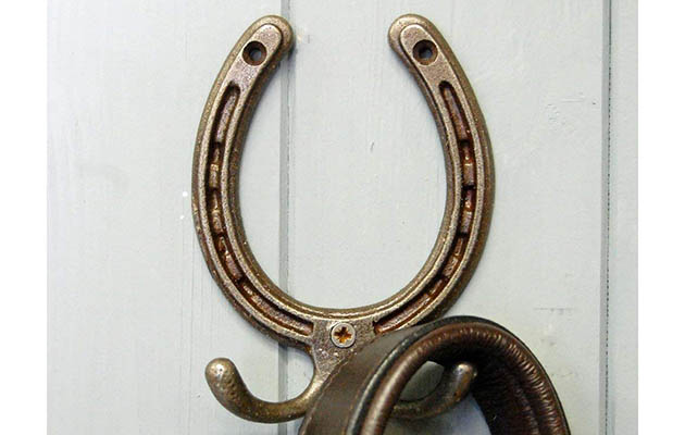 Horseshoe coat hook horseshoe wedding gifts