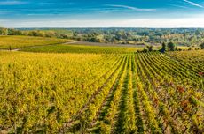 Fronsac wines