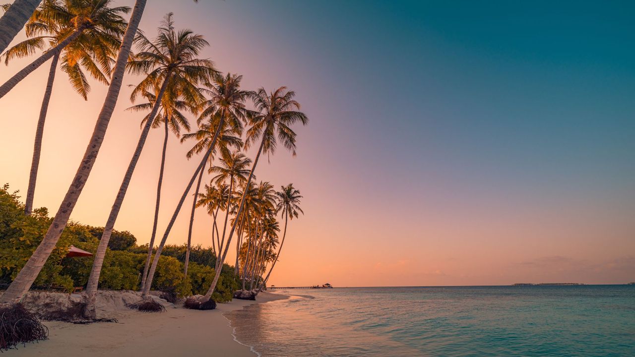 Beautiful tropical beach banner. White sand and coco palms travel tourism wide panorama concept. Amazing sunrise beach landscape, sky sunset clouds, relax nature tranquility, inspirational shore coast